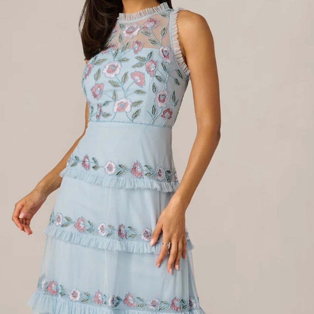 Adrianna Papell ruffle floral, beaded mesh dress